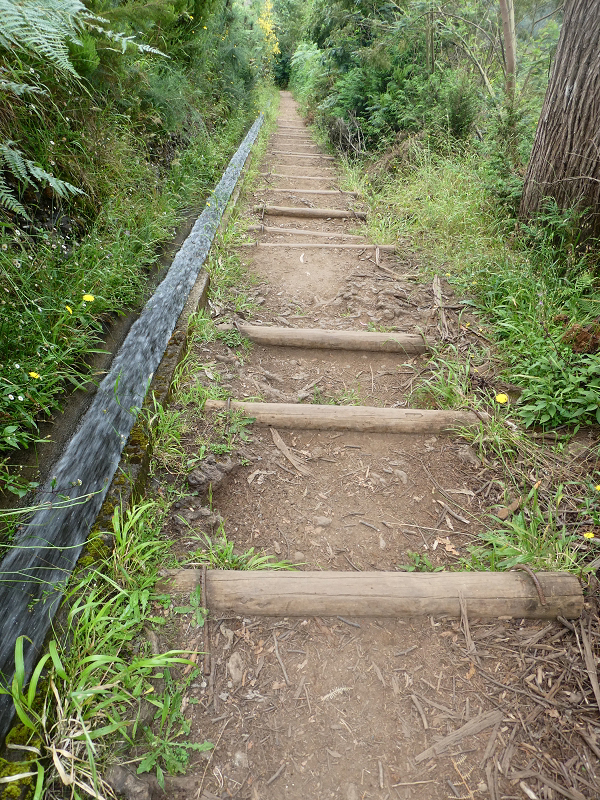 09.07.2018 Rundtour vom Portelapass über die Levada do Castelejo, Pico da Suna und die Levada da Portela — Levada da Portela mit Wasserführung — Foto 22
