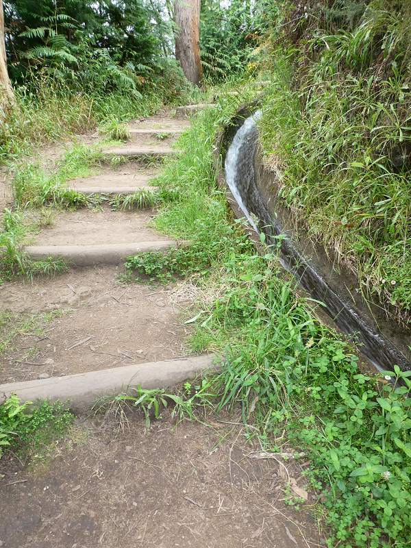 09.07.2018 Rundtour vom Portelapass über die Levada do Castelejo, Pico da Suna und die Levada da Portela — Levada da Portela mit Wasserführung — Foto 23