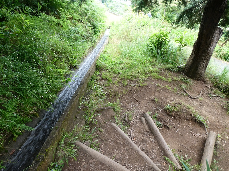 09.07.2018 Rundtour vom Portelapass über die Levada do Castelejo, Pico da Suna und die Levada da Portela — Levada da Portela mit Wasserführung — Foto 24