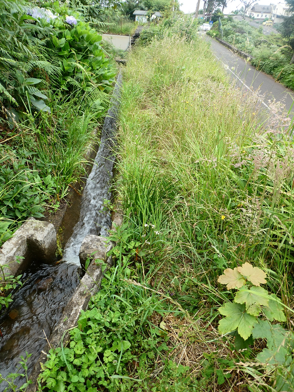 09.07.2018 Rundtour vom Portelapass über die Levada do Castelejo, Pico da Suna und die Levada da Portela — Levada da Portela mit Wasserführung — Foto 25