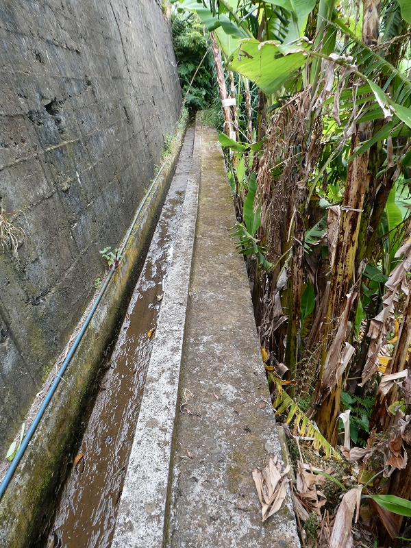 Levada do Castelejo — Bis zum Ende — Foto 8