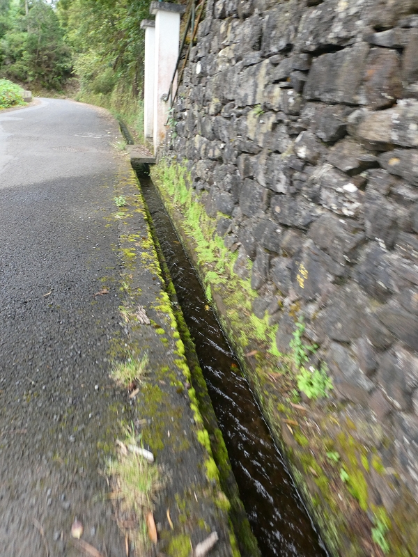 09.07.2018 Rundtour vom Portelapass über die Levada do Castelejo, Pico da Suna und die Levada da Portela — Portelapass und Abstieg auf dem CR 23 nach Cruz da Guarda — Foto 2
