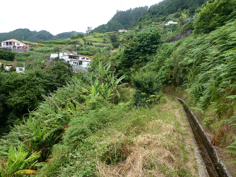 Levada do Castelejo — Bis zum Ende — Foto 6
