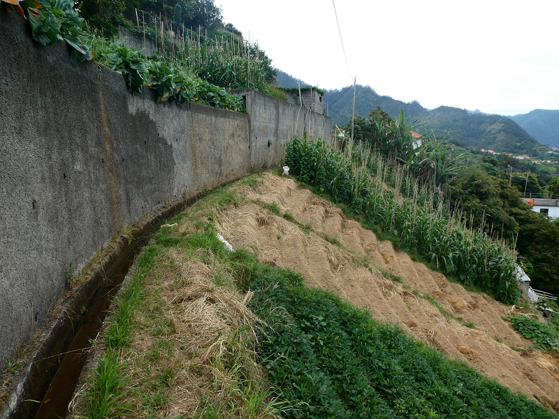 Levada do Castelejo — Bis zum Ende — Foto 4