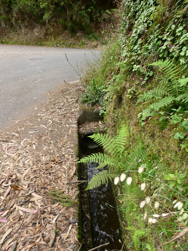 09.07.2018 Rundtour vom Portelapass über die Levada do Castelejo, Pico da Suna und die Levada da Portela — Portelapass und Abstieg auf dem CR 23 nach Cruz da Guarda — Foto 3