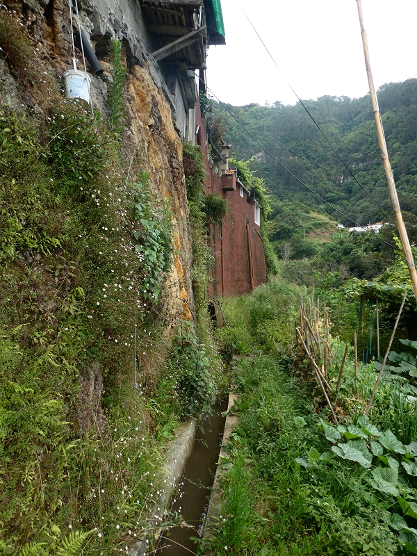 09.07.2018 Rundtour vom Portelapass über die Levada do Castelejo, Pico da Suna und die Levada da Portela — Bis zur Ribeira Caldeira — Foto 15