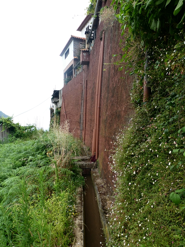 Levada do Castelejo — Bis zum Ende — Foto 3