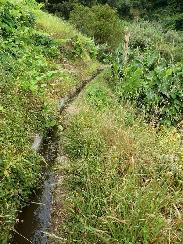 09.07.2018 Rundtour vom Portelapass über die Levada do Castelejo, Pico da Suna und die Levada da Portela — Bis zur Ribeira Caldeira — Foto 17