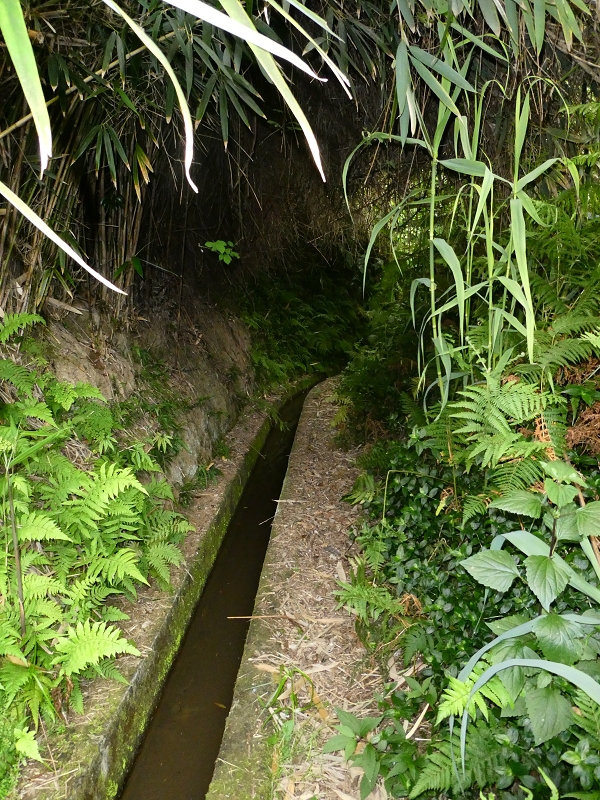 Levada do Castelejo — Bis zum Ende — Foto 2