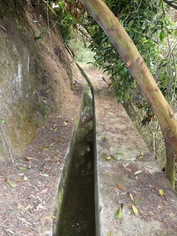 Levada do Castelejo — Bis zum Ende — Foto 1