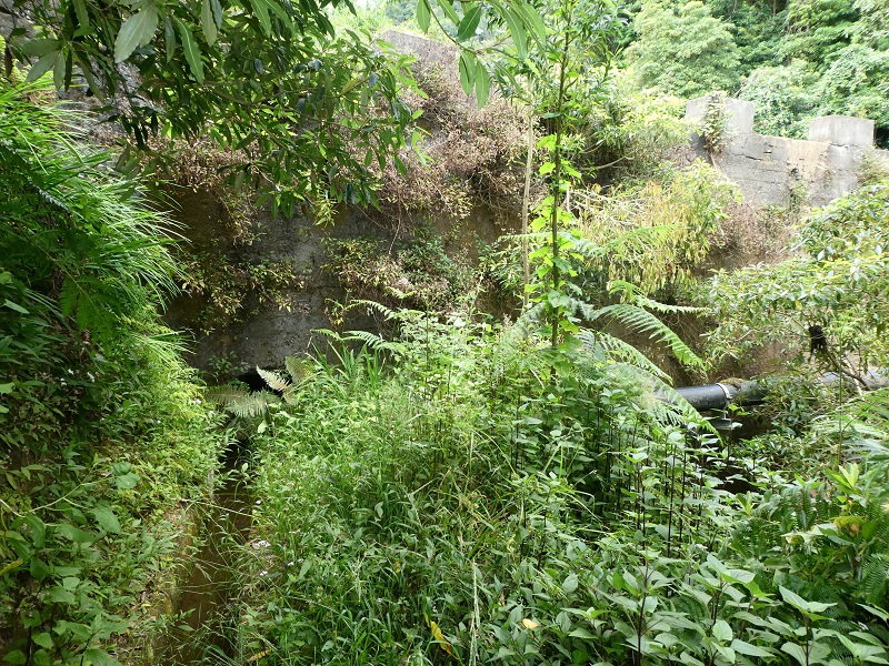 09.07.2018 Rundtour vom Portelapass über die Levada do Castelejo, Pico da Suna und die Levada da Portela — Bis zur Ribeira Caldeira — Foto 21