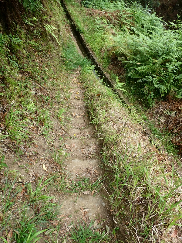 09.07.2018 Rundtour vom Portelapass über die Levada do Castelejo, Pico da Suna und die Levada da Portela — Bis zur Ribeira Caldeira — Foto 24