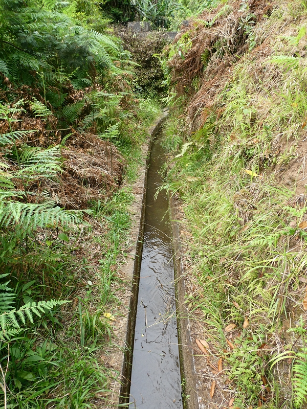 09.07.2018 Rundtour vom Portelapass über die Levada do Castelejo, Pico da Suna und die Levada da Portela — Bis zur Ribeira Caldeira — Foto 25