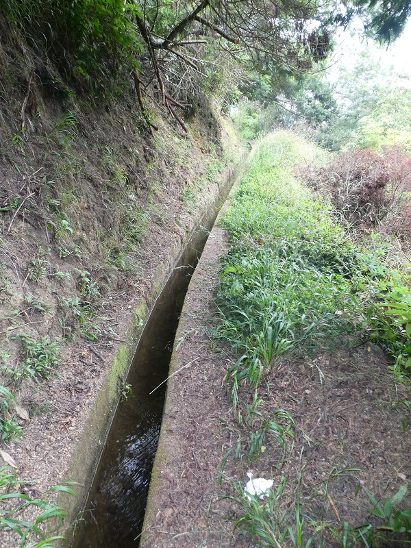 09.07.2018 Rundtour vom Portelapass über die Levada do Castelejo, Pico da Suna und die Levada da Portela — Über die Ribeira da Volta zur Kreuzung mit der ER108 — Foto 1