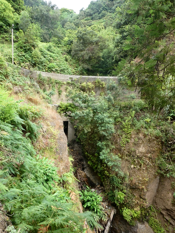 09.07.2018 Rundtour vom Portelapass über die Levada do Castelejo, Pico da Suna und die Levada da Portela — Über die Ribeira da Volta zur Kreuzung mit der ER108 — Foto 2
