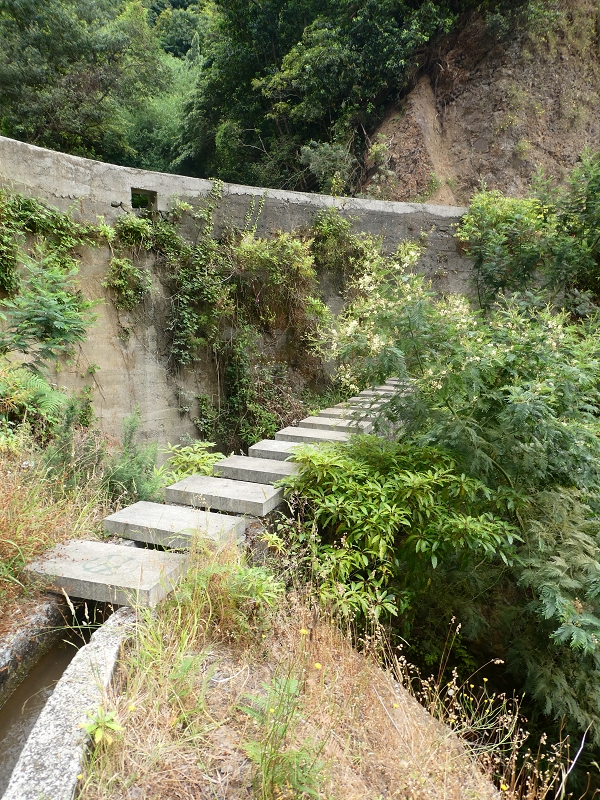Levada do Castelejo — Zur Brücke über die Ribeira da Volta — Foto 4