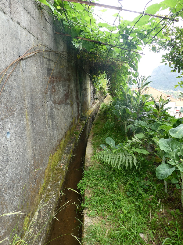 09.07.2018 Rundtour vom Portelapass über die Levada do Castelejo, Pico da Suna und die Levada da Portela — Über die Ribeira da Volta zur Kreuzung mit der ER108 — Foto 12
