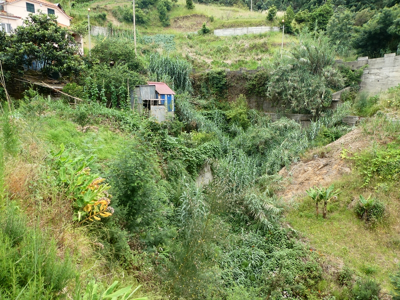 09.07.2018 Rundtour vom Portelapass über die Levada do Castelejo, Pico da Suna und die Levada da Portela — Über die Ribeira da Volta zur Kreuzung mit der ER108 — Foto 14
