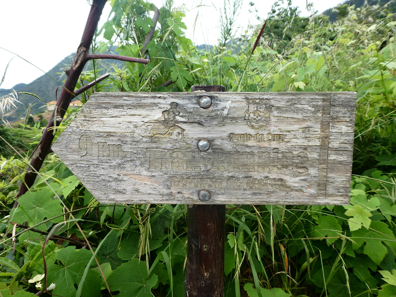 09.07.2018 Rundtour vom Portelapass über die Levada do Castelejo, Pico da Suna und die Levada da Portela — Über die Ribeira da Volta zur Kreuzung mit der ER108 — Foto 15