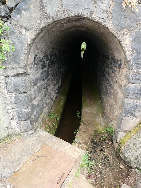 Levada do Castelejo — Zum Tunnel unter dem Caminho do Moleiro — Foto 7