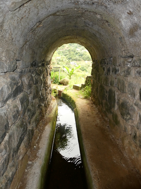 Levada do Castelejo — Zum Tunnel unter dem Caminho do Moleiro — Foto 6