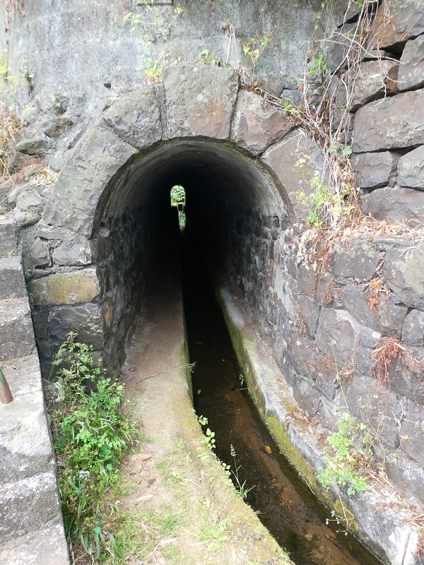 Levada do Castelejo — Zum Tunnel unter dem Caminho do Moleiro — Foto 5