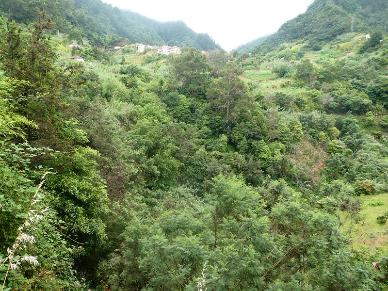 Levada do Castelejo — Zum Tunnel unter dem Caminho do Moleiro — Foto 3