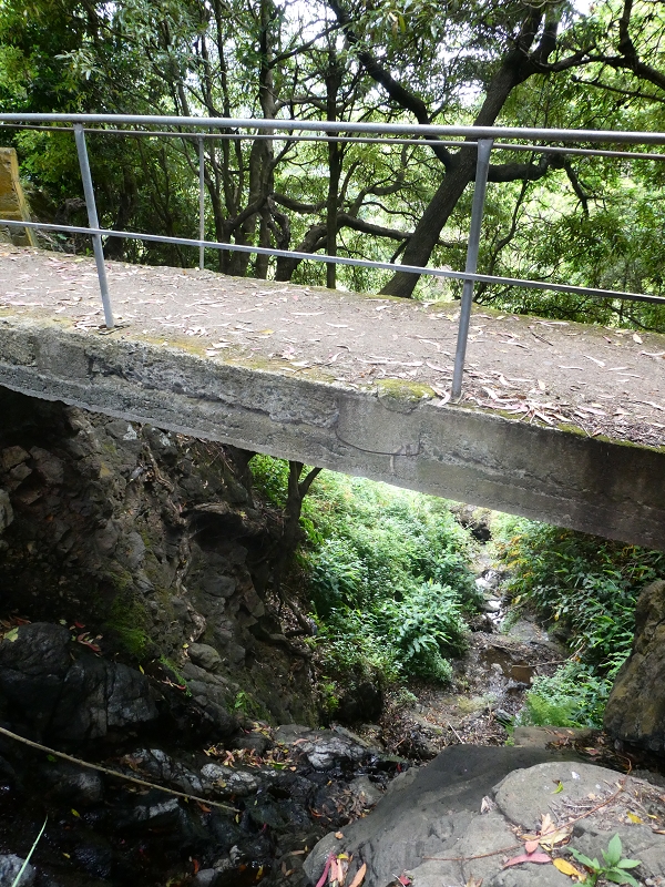 09.07.2018 Rundtour vom Portelapass über die Levada do Castelejo, Pico da Suna und die Levada da Portela — Durch den Tunnel unter dem Caminho do Moleiro zur Passage der Ribeira Tem-Te-Nao-Caias — Foto 8