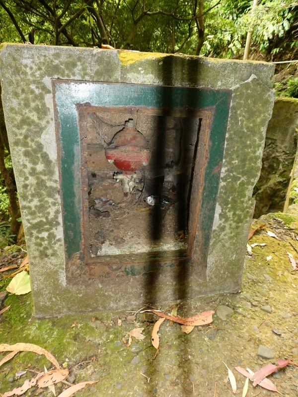 09.07.2018 Rundtour vom Portelapass über die Levada do Castelejo, Pico da Suna und die Levada da Portela — Durch den Tunnel unter dem Caminho do Moleiro zur Passage der Ribeira Tem-Te-Nao-Caias — Foto 10