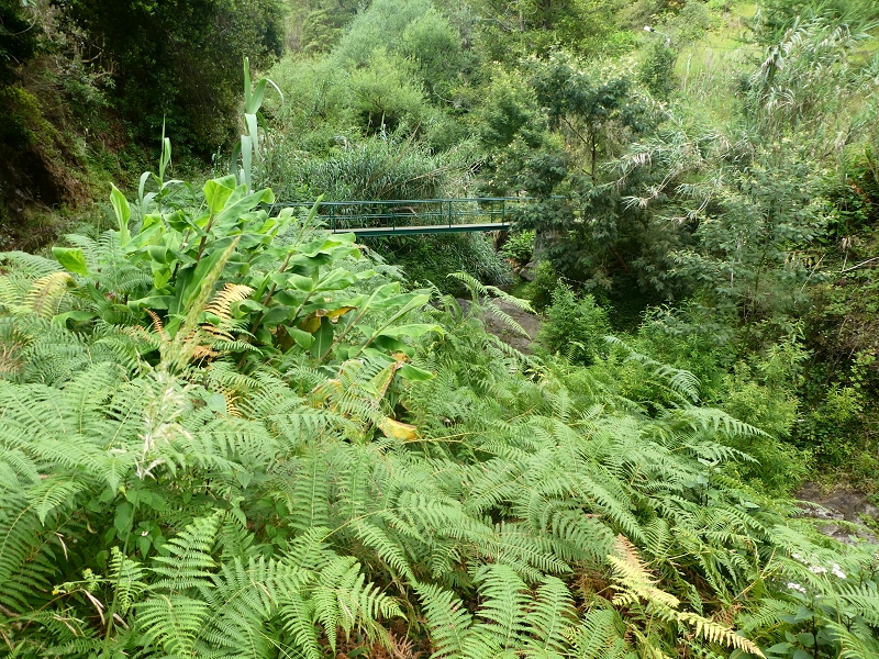09.07.2018 Rundtour vom Portelapass über die Levada do Castelejo, Pico da Suna und die Levada da Portela — Durch den Tunnel unter dem Caminho do Moleiro zur Passage der Ribeira Tem-Te-Nao-Caias — Foto 13
