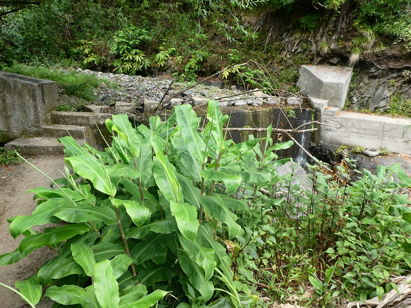 Levada do Castelejo — Zur Ribeira Tem-Te-Nao-Caias — Foto 6