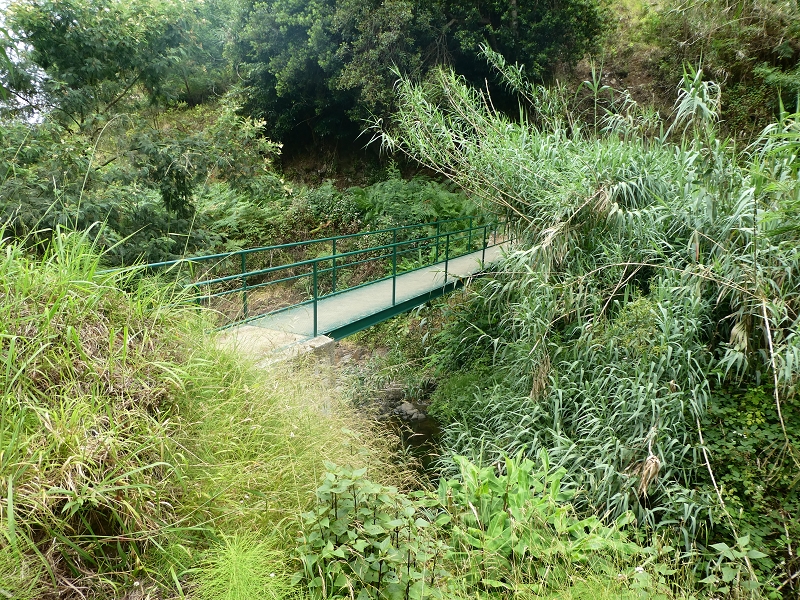 Levada do Castelejo — Zur Ribeira Tem-Te-Nao-Caias — Foto 7