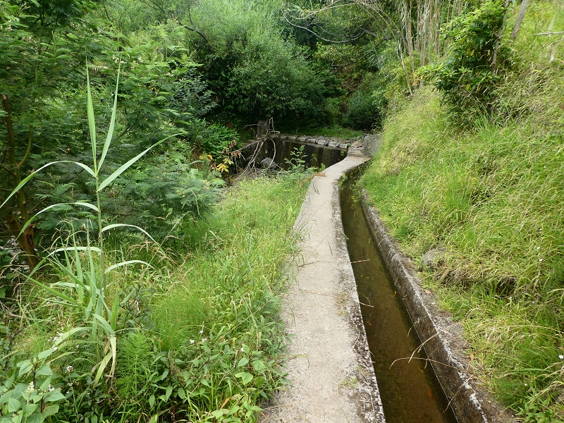 Levada do Castelejo — Zur Ribeira Tem-Te-Nao-Caias — Foto 8