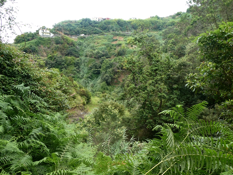 Levada do Castelejo — Zur Ribeira Tem-Te-Nao-Caias — Foto 9