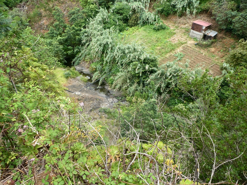 09.07.2018 Rundtour vom Portelapass über die Levada do Castelejo, Pico da Suna und die Levada da Portela — Weiter zur Vereda da Terra Baptista — Foto 4