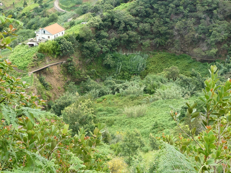 09.07.2018 Rundtour vom Portelapass über die Levada do Castelejo, Pico da Suna und die Levada da Portela — Weiter zur Vereda da Terra Baptista — Foto 6