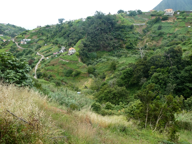 09.07.2018 Rundtour vom Portelapass über die Levada do Castelejo, Pico da Suna und die Levada da Portela — Weiter zur Vereda da Terra Baptista — Foto 7