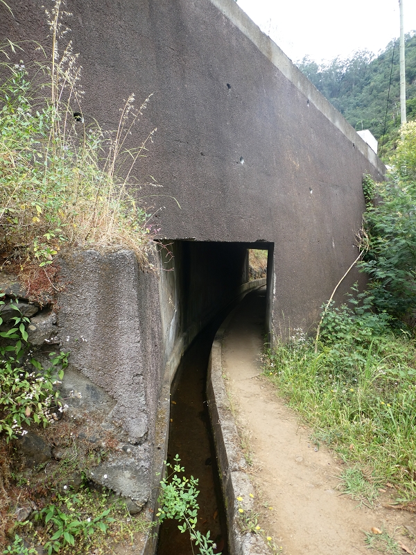 09.07.2018 Rundtour vom Portelapass über die Levada do Castelejo, Pico da Suna und die Levada da Portela — Weiter zur Vereda da Terra Baptista — Foto 9