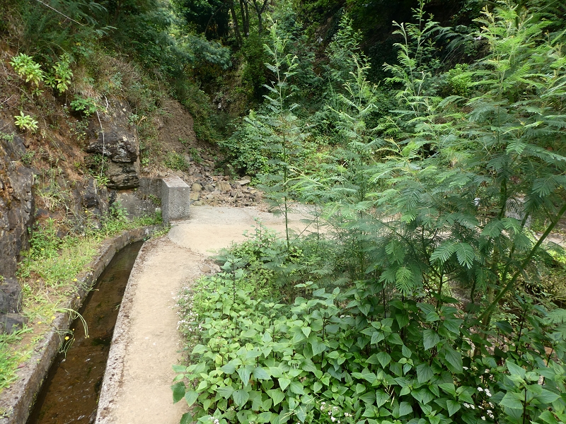 Levada do Castelejo — Zur Ribeira Tem-Te-Nao-Caias — Foto 3