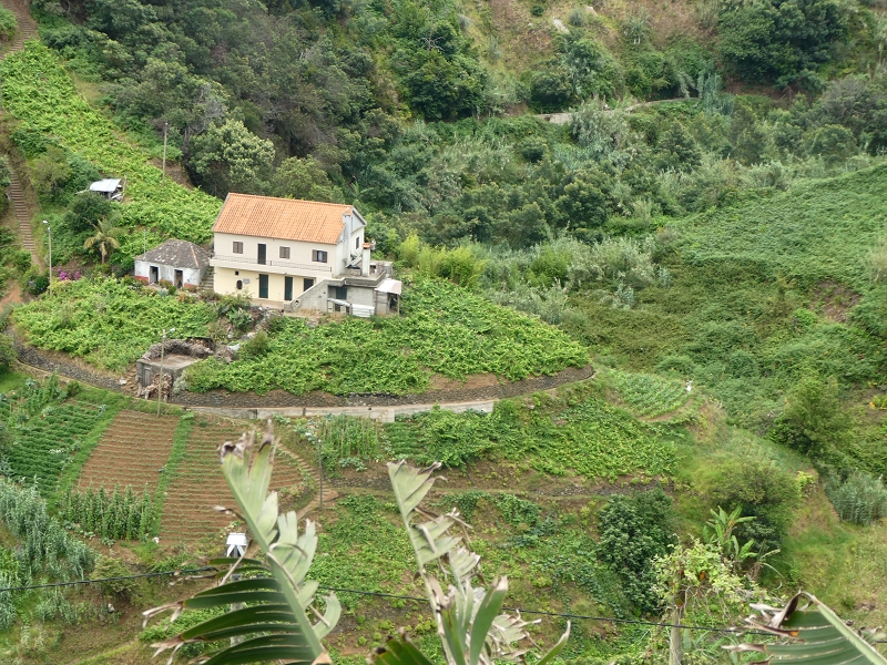 09.07.2018 Rundtour vom Portelapass über die Levada do Castelejo, Pico da Suna und die Levada da Portela — Weiter zur Vereda da Terra Baptista — Foto 12