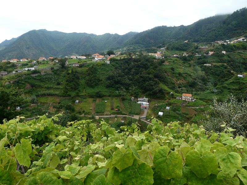 09.07.2018 Rundtour vom Portelapass über die Levada do Castelejo, Pico da Suna und die Levada da Portela — Weiter zur Vereda da Terra Baptista — Foto 13