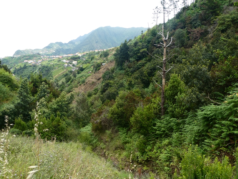 09.07.2018 Rundtour vom Portelapass über die Levada do Castelejo, Pico da Suna und die Levada da Portela — Weiter zur Vereda da Terra Baptista — Foto 14