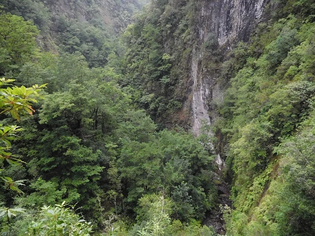 09.08.2015 Levada da Faja da Rodrigues und Aufstieg zur Levada do Norte — Ribeira do Inferno und Madre — Foto 3