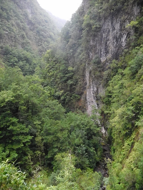 09.08.2015 Levada da Faja da Rodrigues und Aufstieg zur Levada do Norte — Ribeira do Inferno und Madre — Foto 4