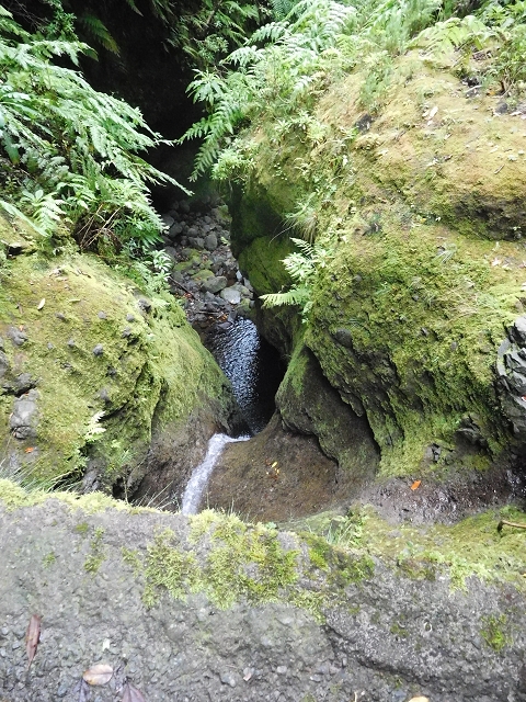 09.08.2015 Levada da Faja da Rodrigues und Aufstieg zur Levada do Norte — Ribeira do Inferno und Madre — Foto 8