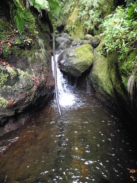 09.08.2015 Levada da Faja da Rodrigues und Aufstieg zur Levada do Norte — Ribeira do Inferno und Madre — Foto 20