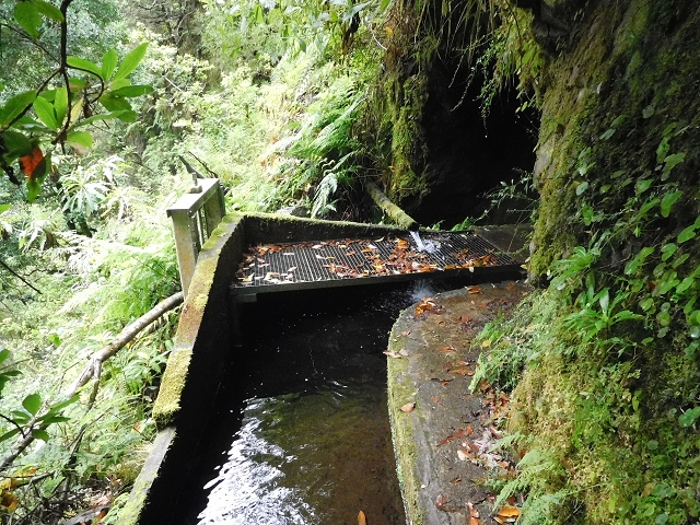 09.08.2015 Levada da Faja da Rodrigues und Aufstieg zur Levada do Norte — Ribeira do Inferno und Madre — Foto 26