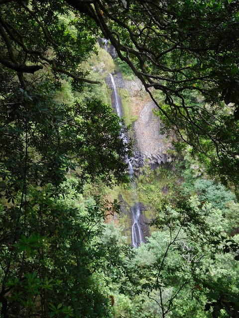 09.08.2015 Levada da Faja da Rodrigues und Aufstieg zur Levada do Norte — Aufstieg auf dem Verbindungswege — Foto 4