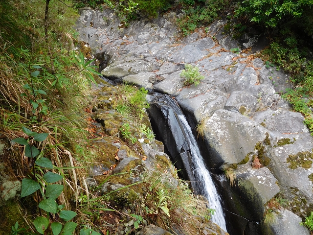 09.08.2015 Levada da Faja da Rodrigues und Aufstieg zur Levada do Norte — Aufstieg auf dem Verbindungswege — Foto 5