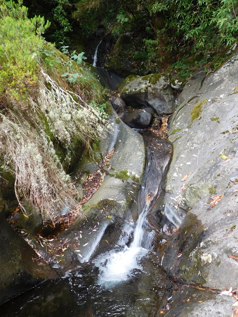09.08.2015 Levada da Faja da Rodrigues und Aufstieg zur Levada do Norte — Aufstieg auf dem Verbindungswege — Foto 7
